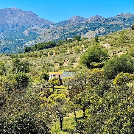 Apartmán Finca Martina Casarabonela Exteriér fotografie