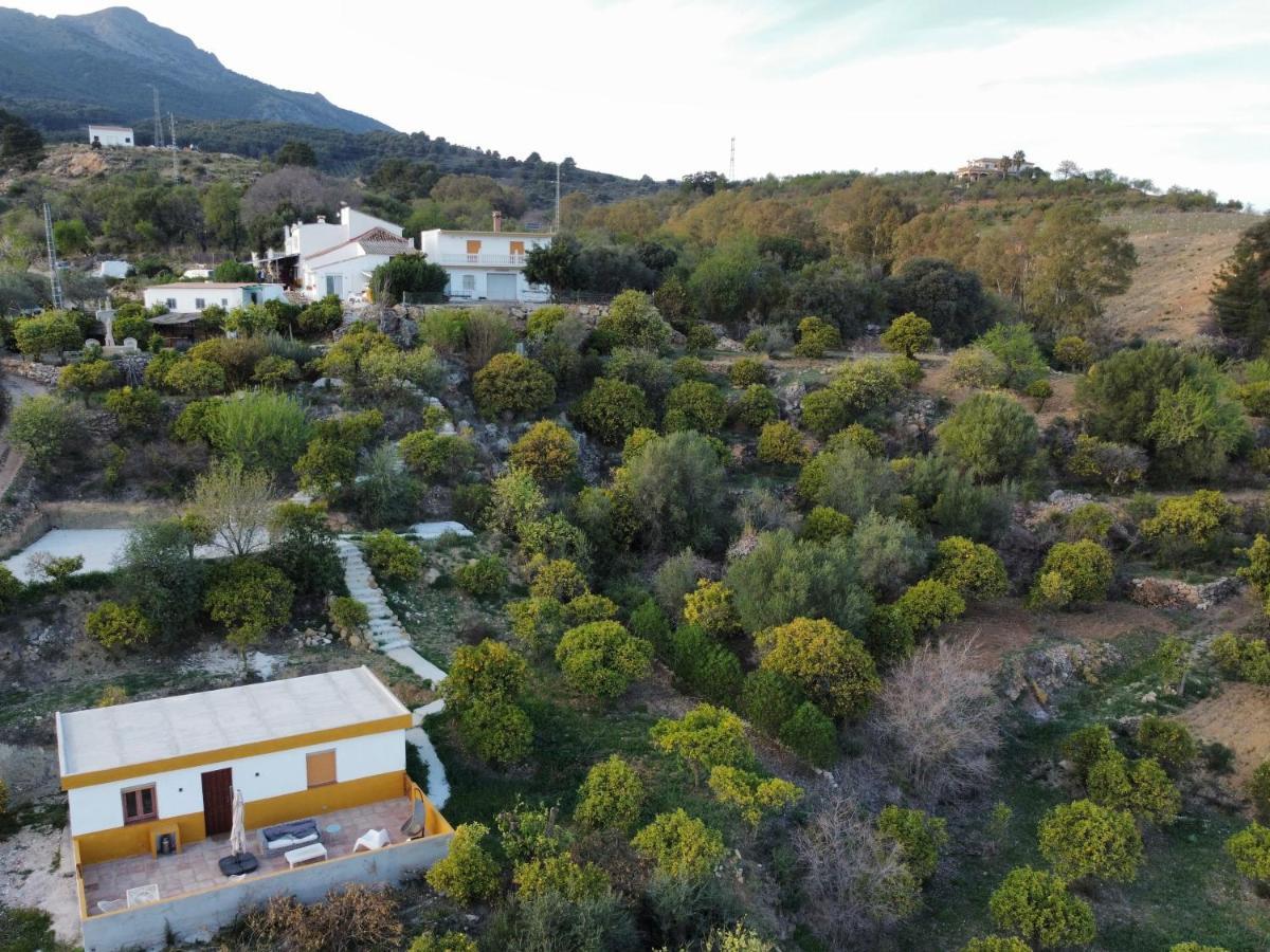Apartmán Finca Martina Casarabonela Exteriér fotografie