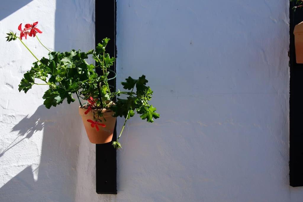 Apartmán Finca Martina Casarabonela Exteriér fotografie