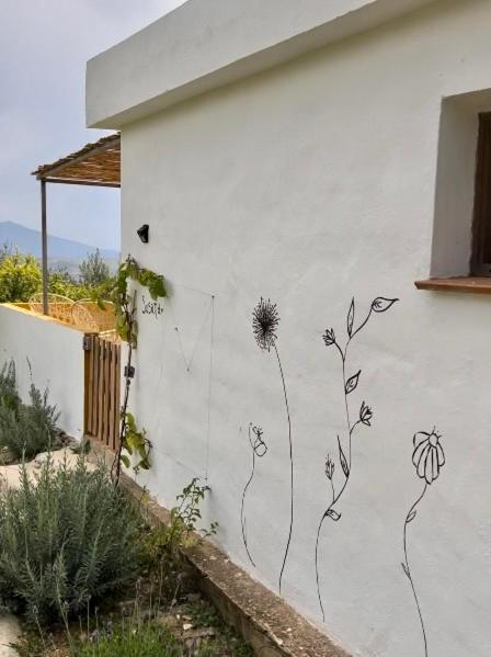 Apartmán Finca Martina Casarabonela Exteriér fotografie