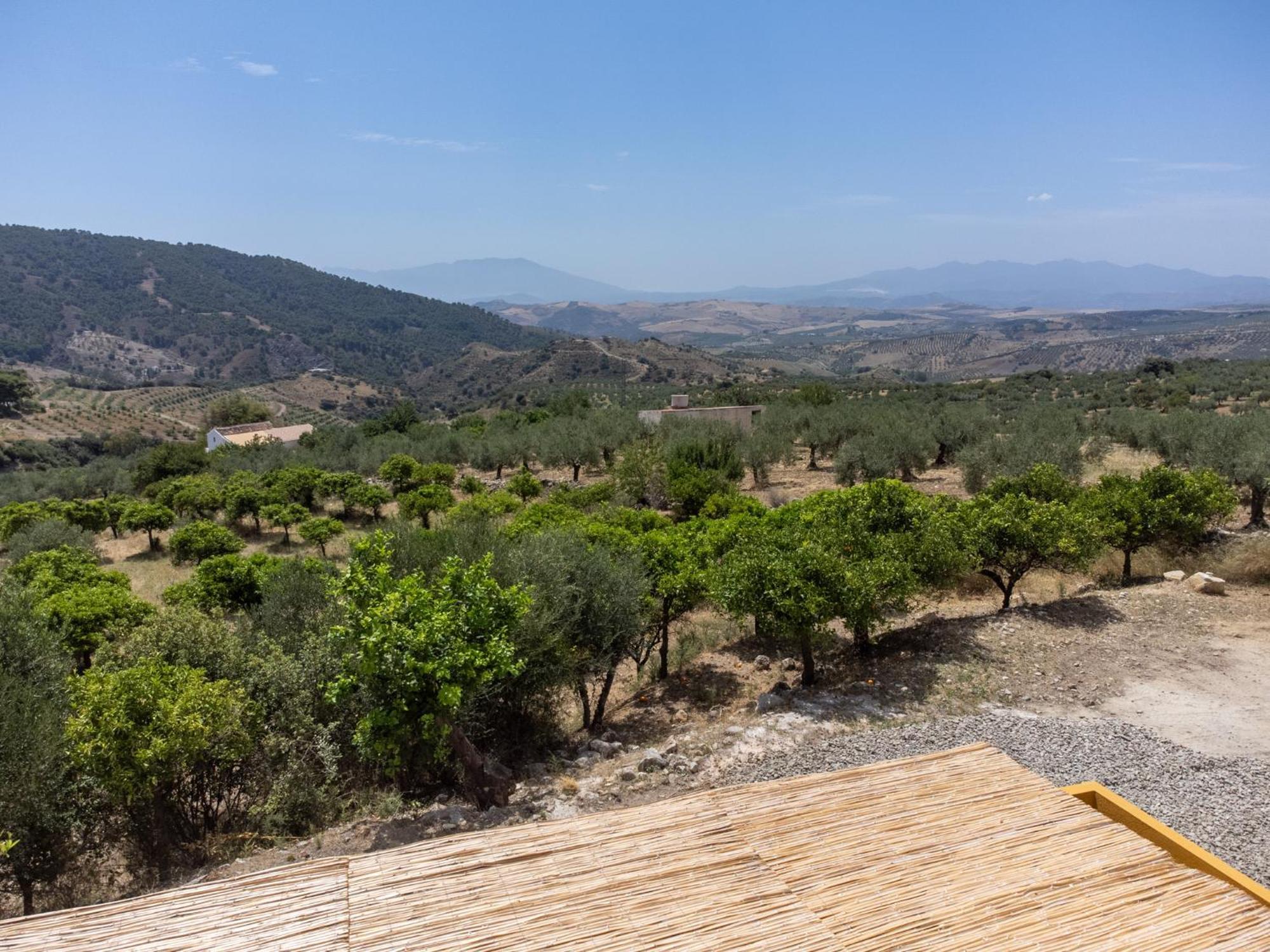 Apartmán Finca Martina Casarabonela Exteriér fotografie