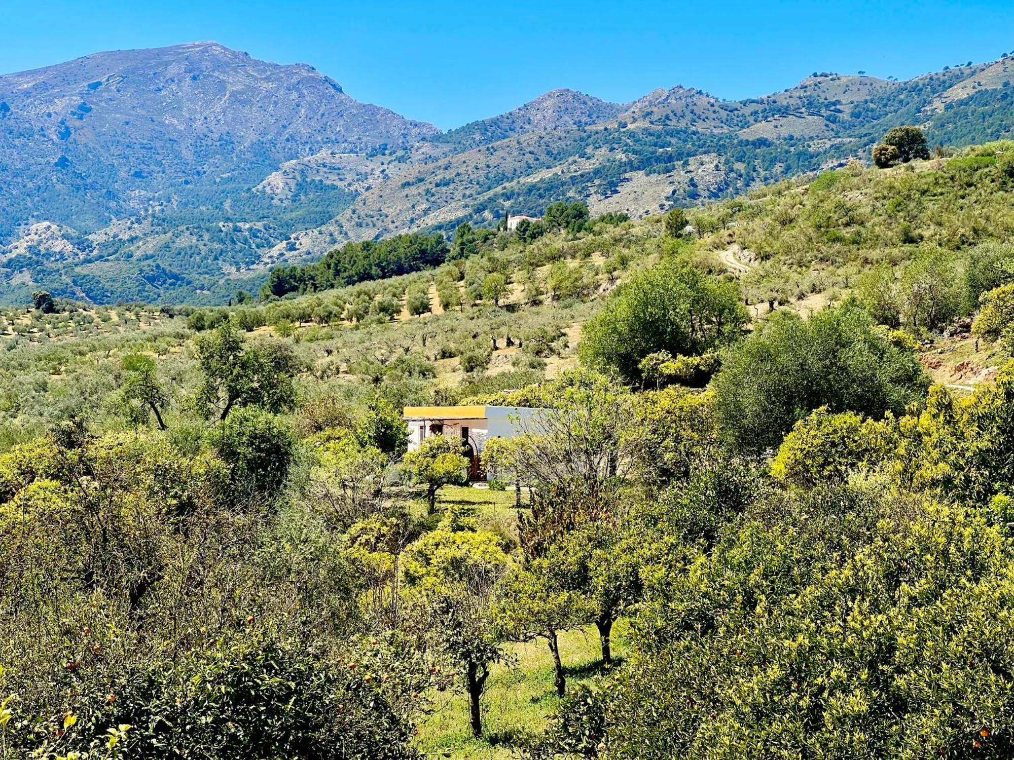 Apartmán Finca Martina Casarabonela Exteriér fotografie